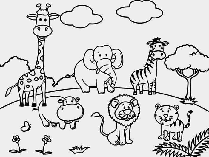 Free Printable Zoo Coloring Pages PDF - Coloringfolder.com