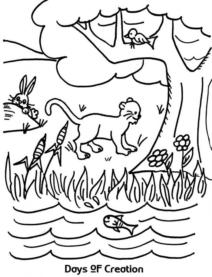 Days Of Creation Coloring Page
