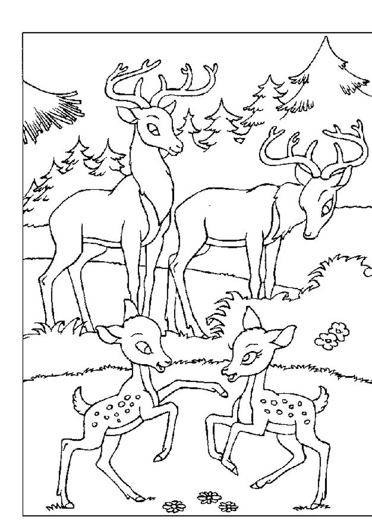 Deer Bambi Coloring Pages