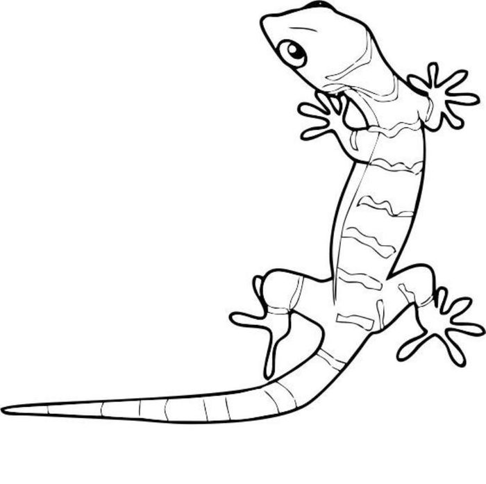 Desert Lizard Coloring Pages