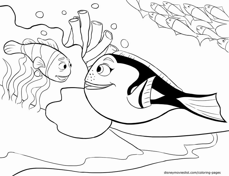 coloring pages bailey finding dory