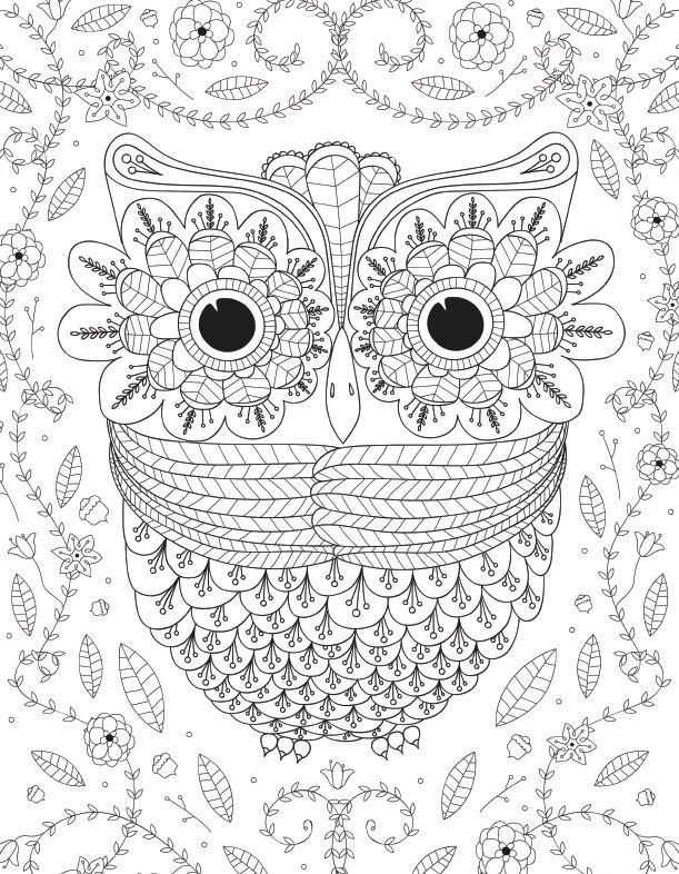 Detailed Owl Coloring Page For Adults