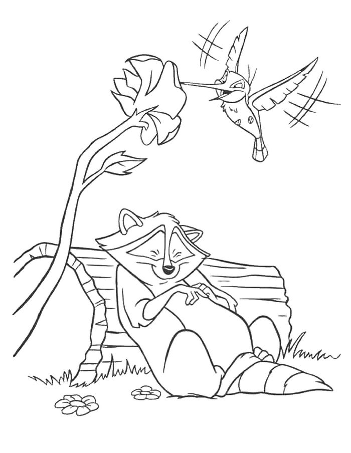 Disney Pocahontas Meeko And Flit Coloring Pages