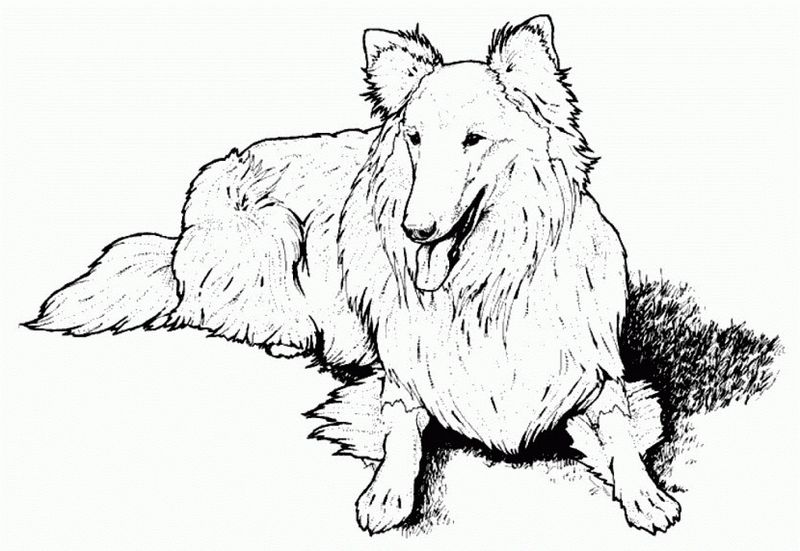 Dog Coloring Pages Online