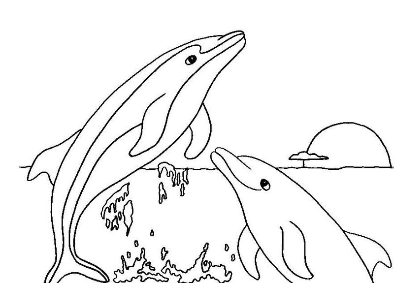 Dolphin Coloring Pages PDF - Coloringfolder.com