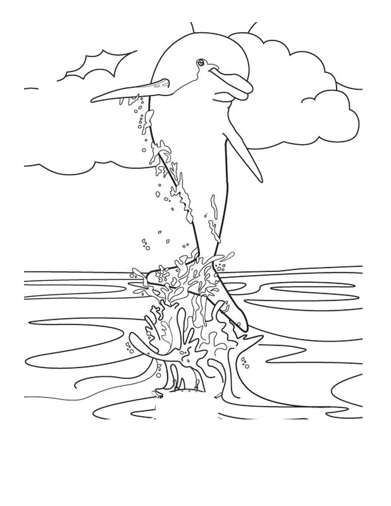 Dolphin Coloring Pages Pictures