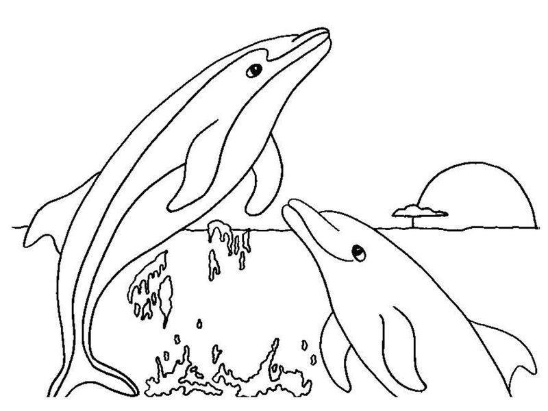 Dolphin Coloring Pages Printable Free