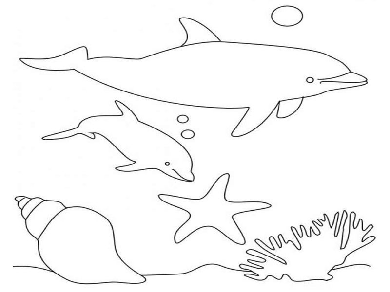 Dolphin Coloring Pages To Print Out
