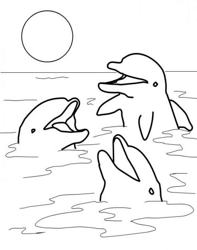 Dolphin Coloring Pages