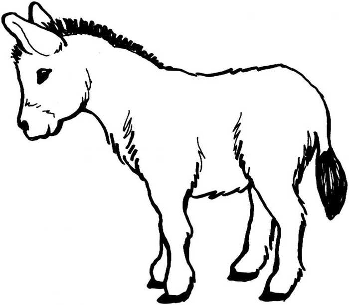Donkey Animal Coloring Pages