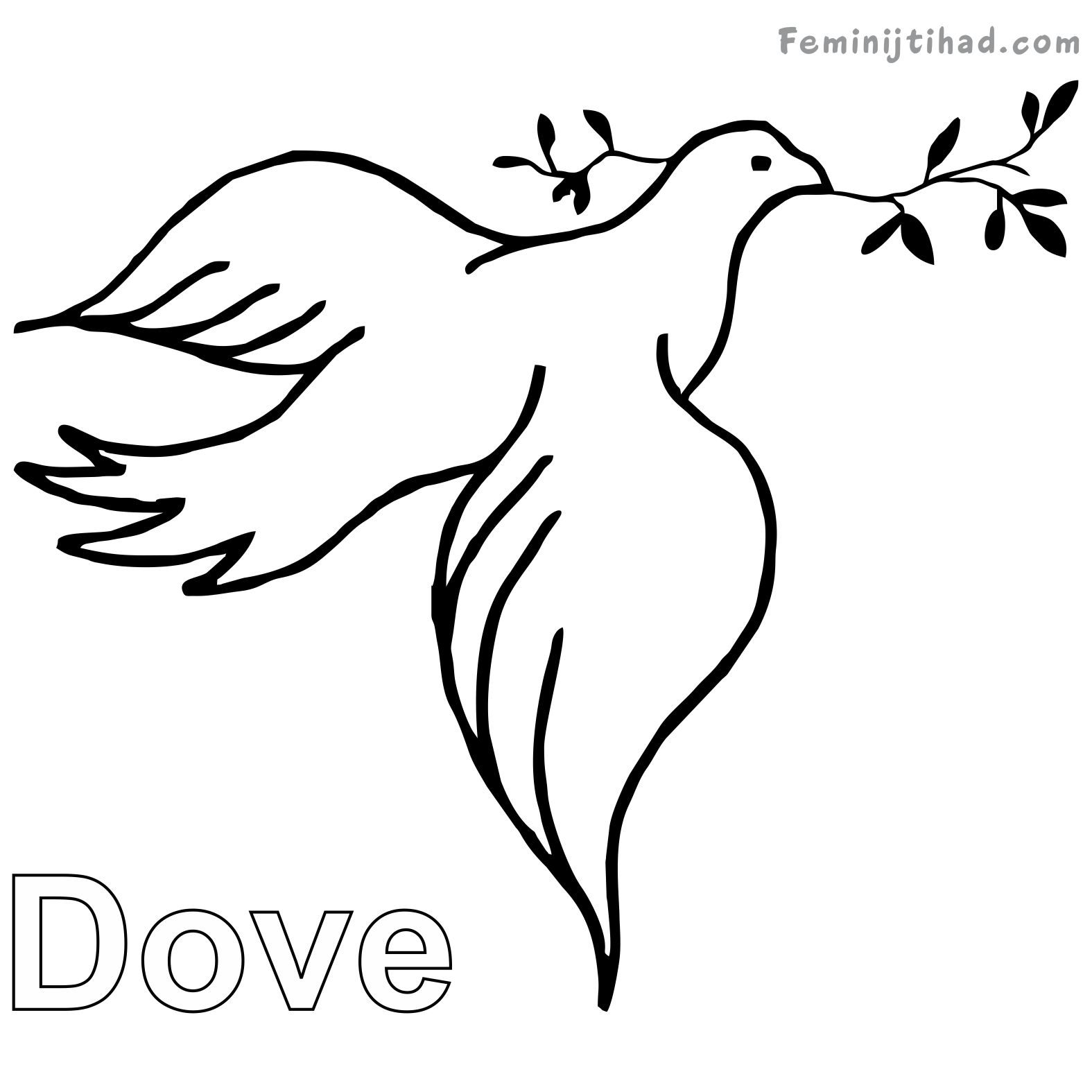Dove Coloring Page Free easy