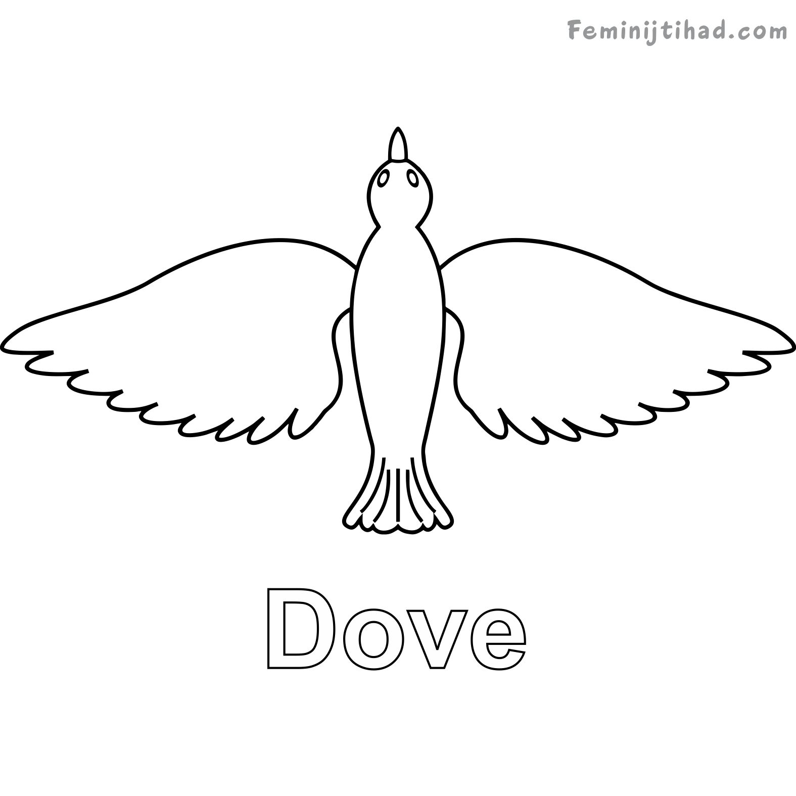 Dove Coloring Page Free