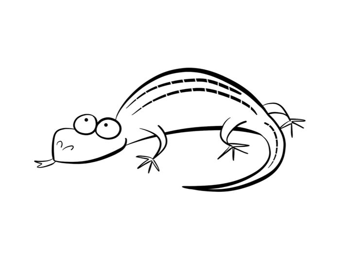 Dragoart Coloring Pages Easy Lizard