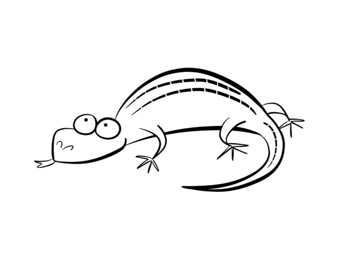 cute baby turtle coloring pages dragoart