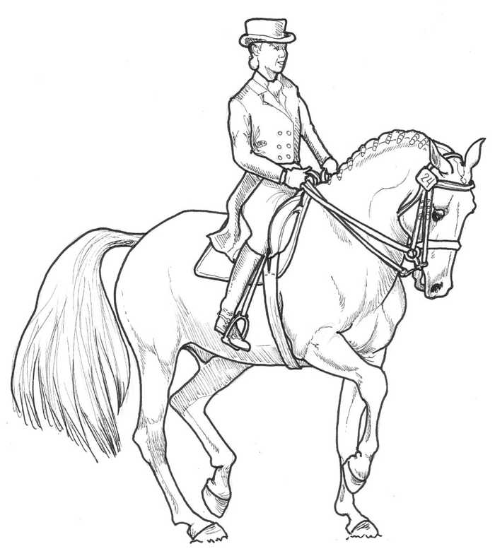 Dressage Horse Coloring Page