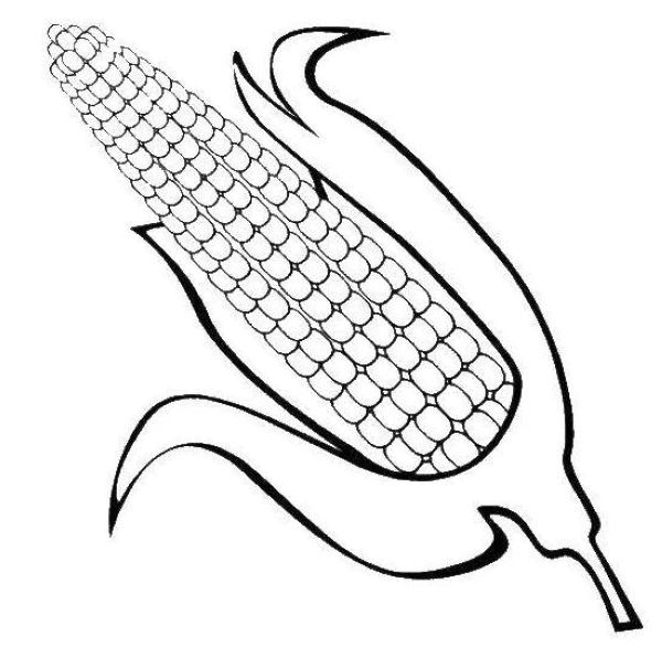 Ear of Corn Coloring Page for Kids