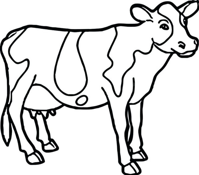 Farm Animal Coloring Pages PDF For Kids - Coloringfolder.com