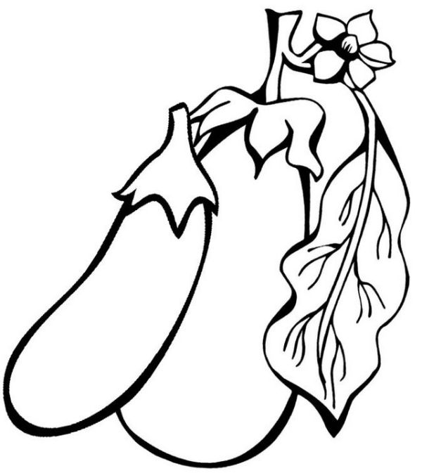 Eggplant Vegetable Coloring Page