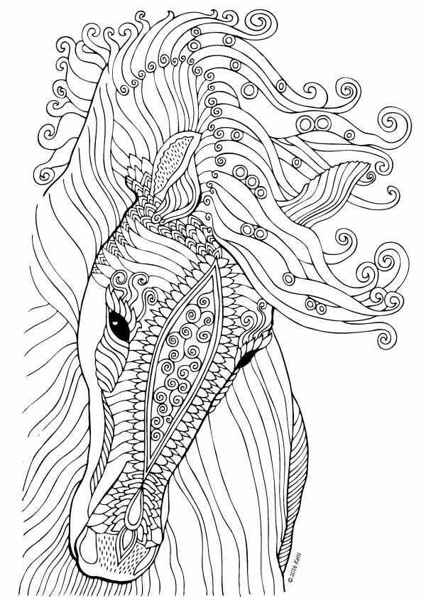 Elegant Horse Coloring Page For Adults