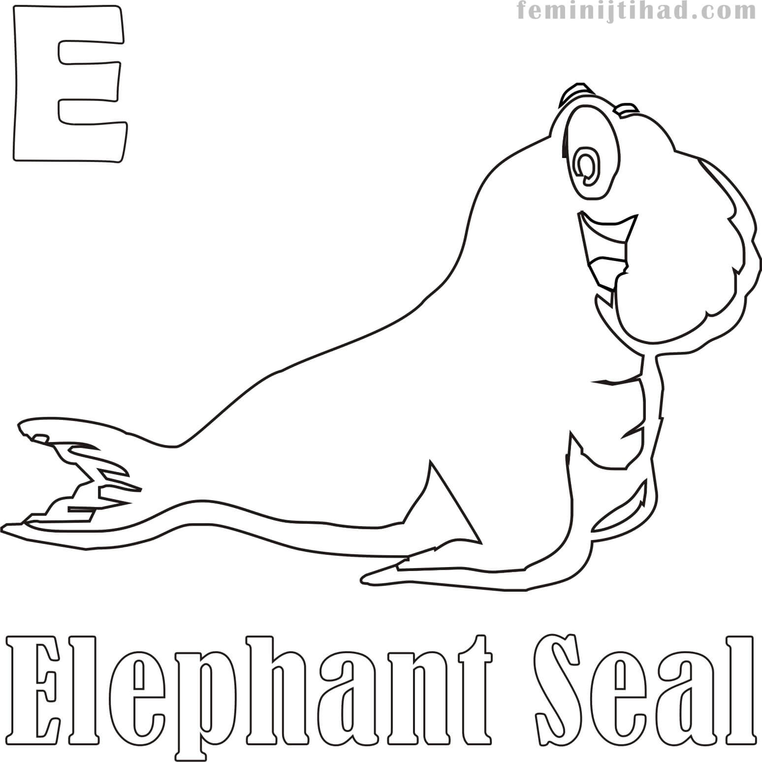 Elephant Seal Coloring Page Printable