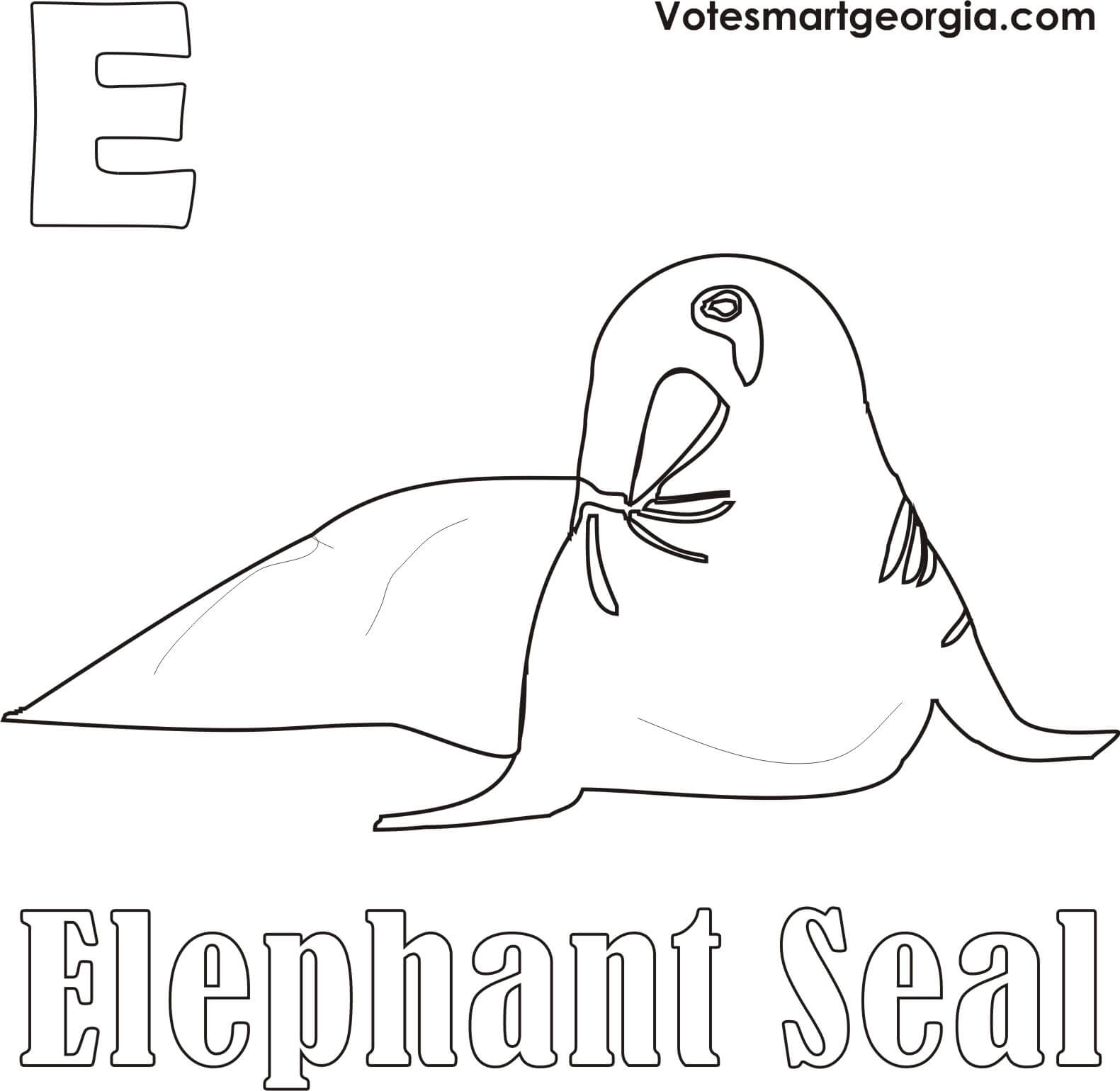 Elephant Seal Coloring Page free