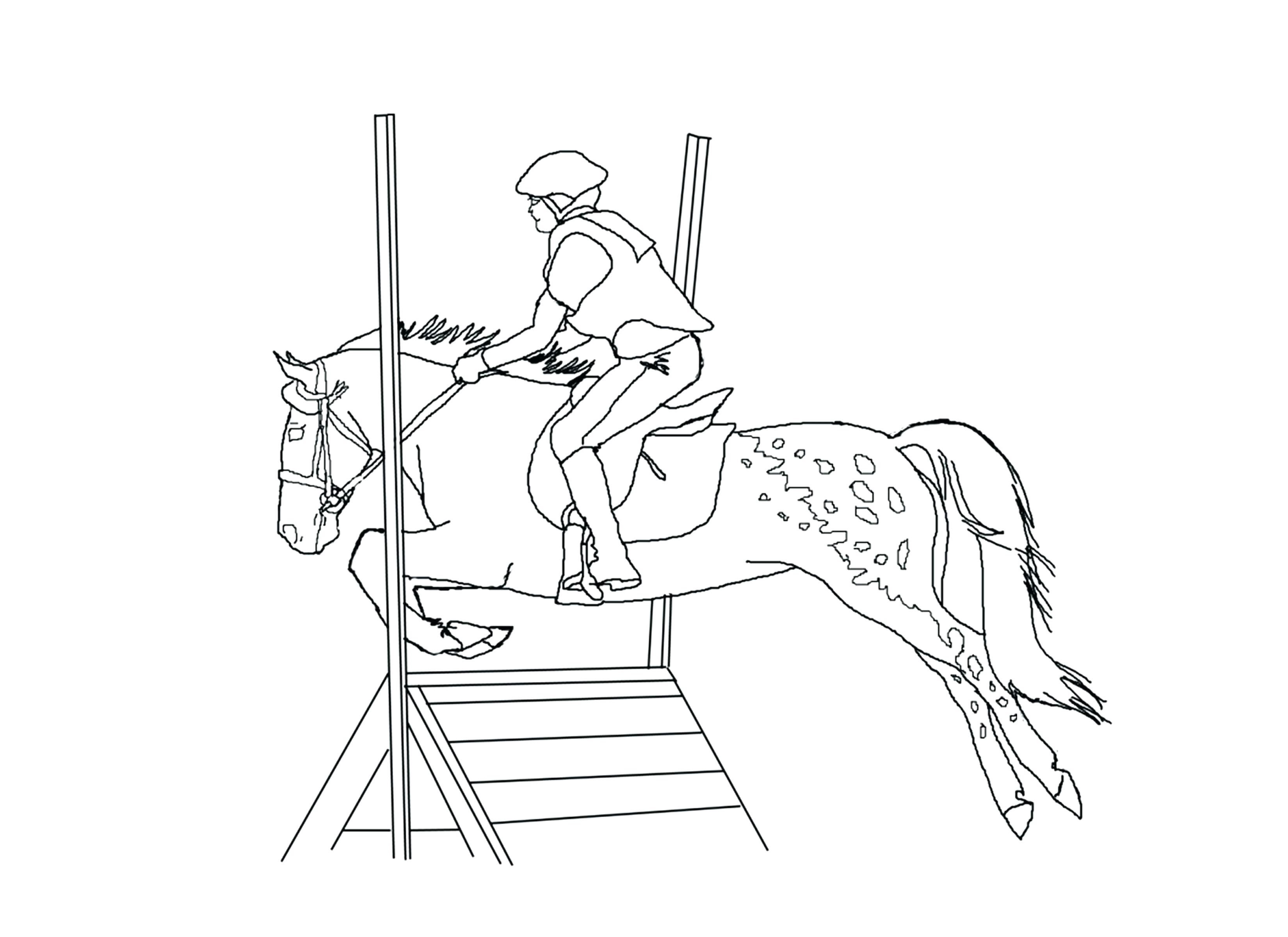 equitation coloring pages