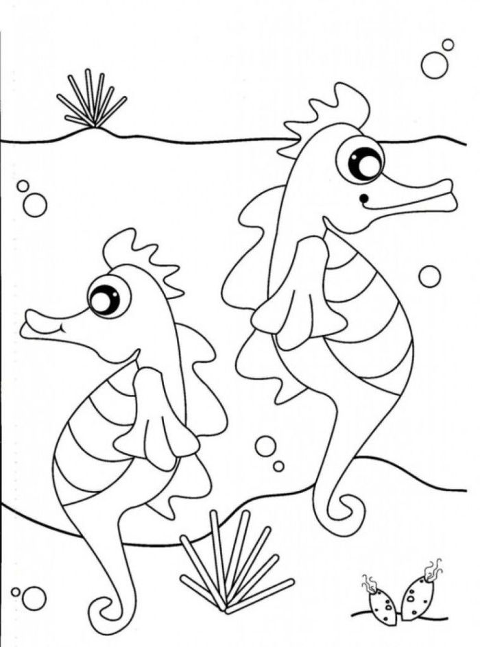 Eric Carle Mister Seahorse Coloring Pages