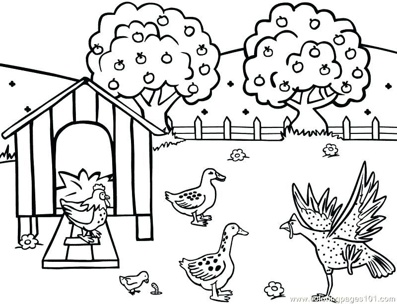 Farm Animal Coloring Pages For Kindergarten