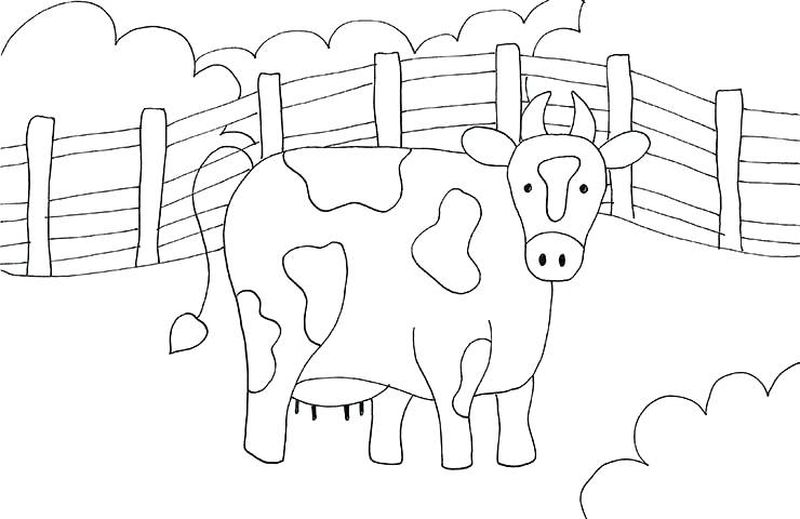 Farm Animal Coloring Pages For Preschoolers