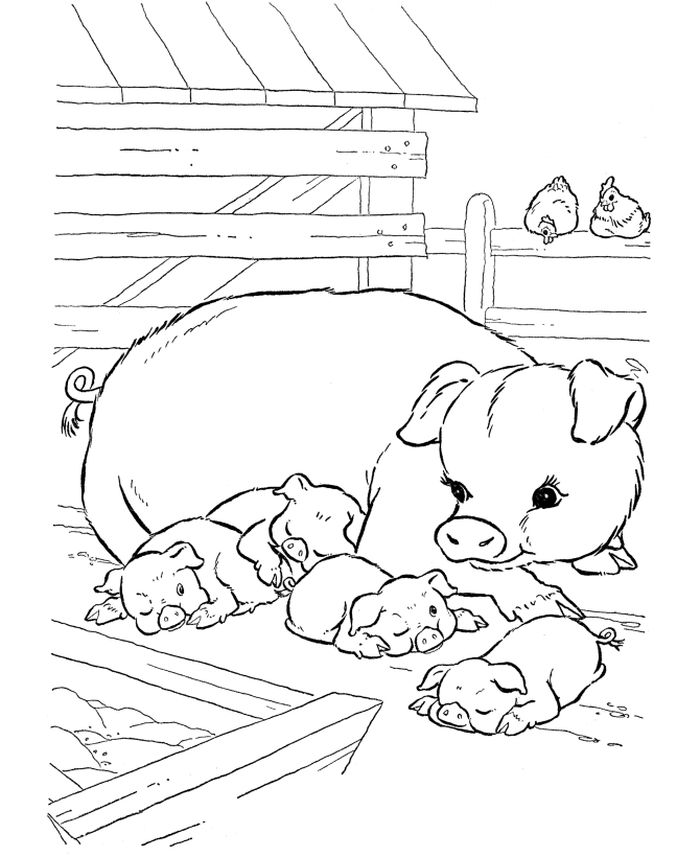 Farm Animal Coloring Pages Free Printable