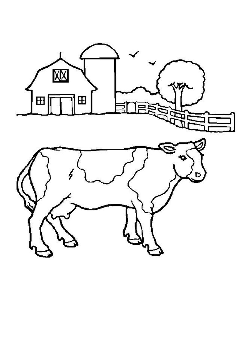 Farm Animal Coloring Pages Free