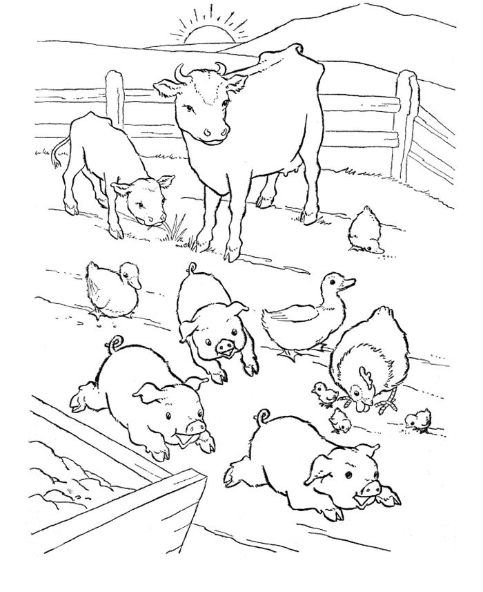 Farm Animal Habitat Coloring Pages