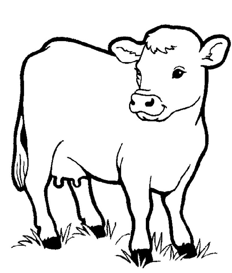 Farm Coloring Pages To Print
