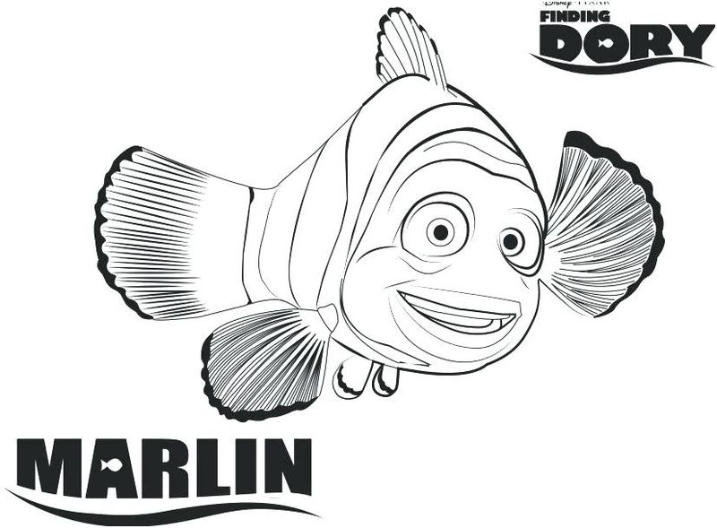 bailey coloring page png finding dory