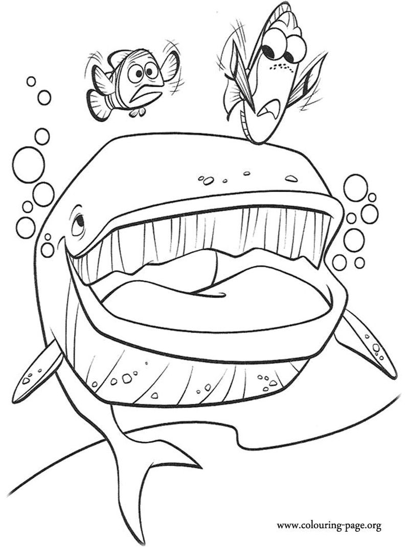 Finding Dory Coloring Pages 056