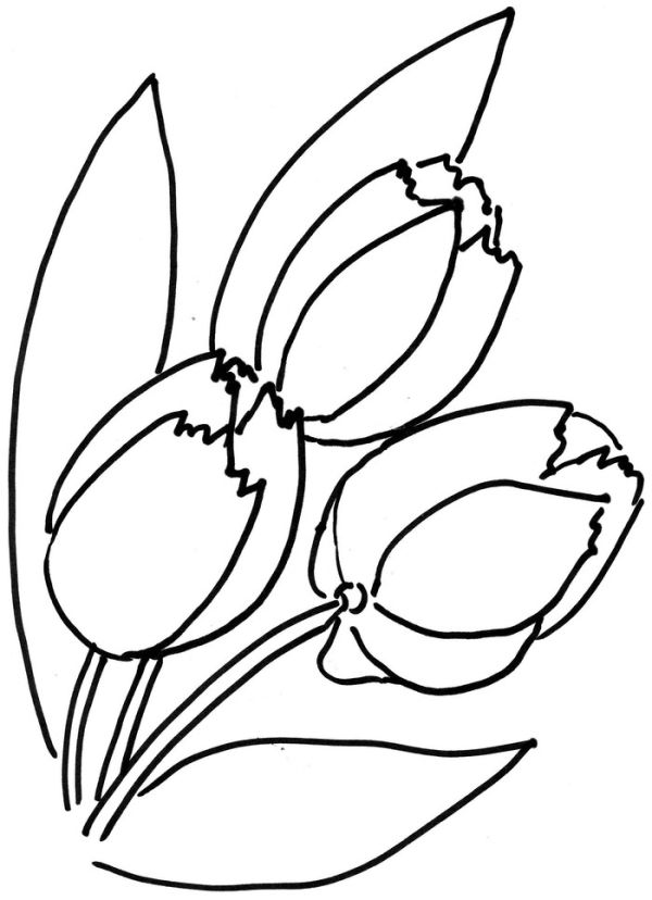 Floral tulip coloring pages