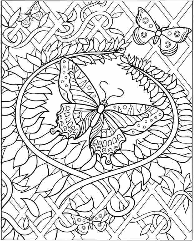 Flower Vine And Butterfly Coloring Page
