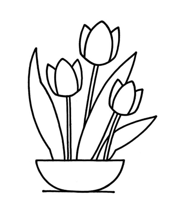 Flower tulip coloring pages printable