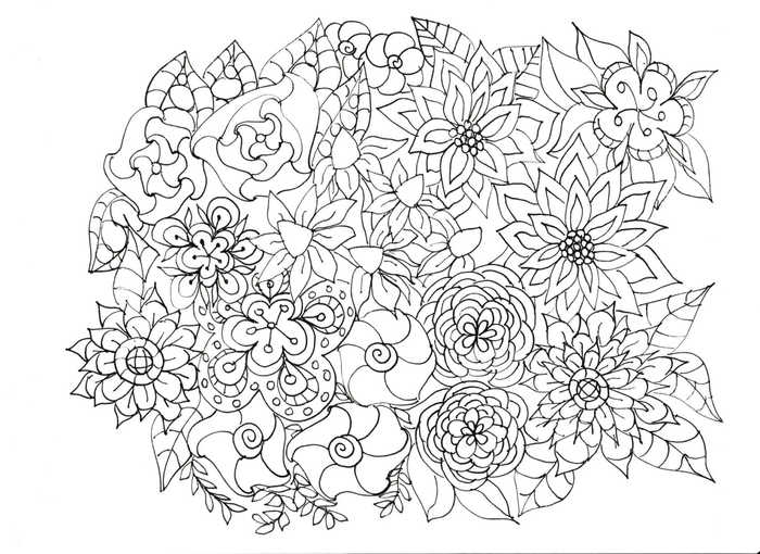 Flower Sketch For Adults To Color