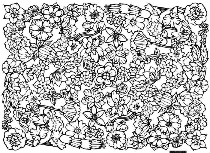 Flowers Pattern Adult Coloring