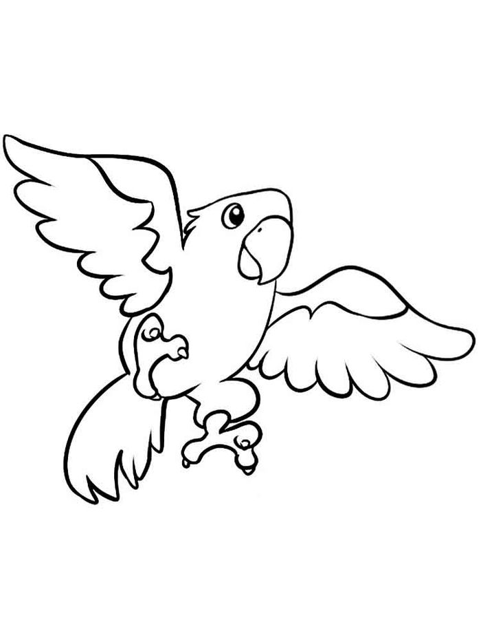 Flying Parrot Coloring Pages