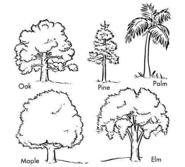 Free Arbor Day Coloring Pages