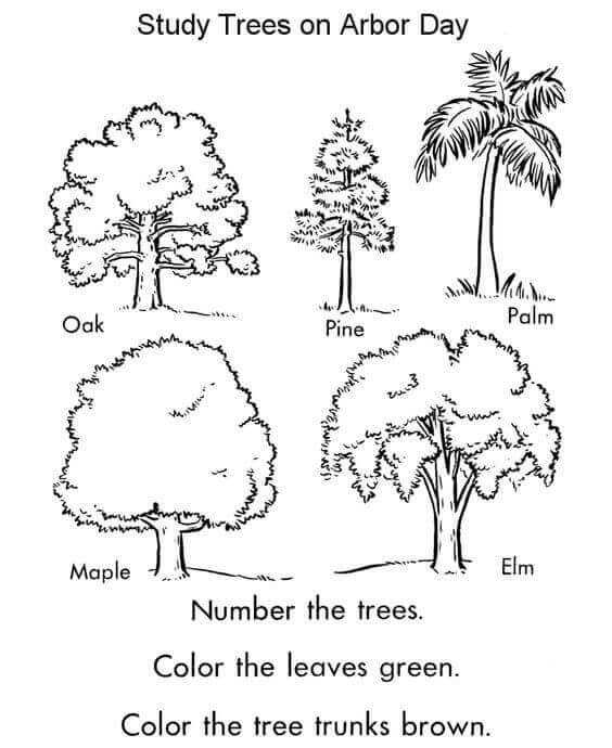 Free Arbor Day Coloring Pages