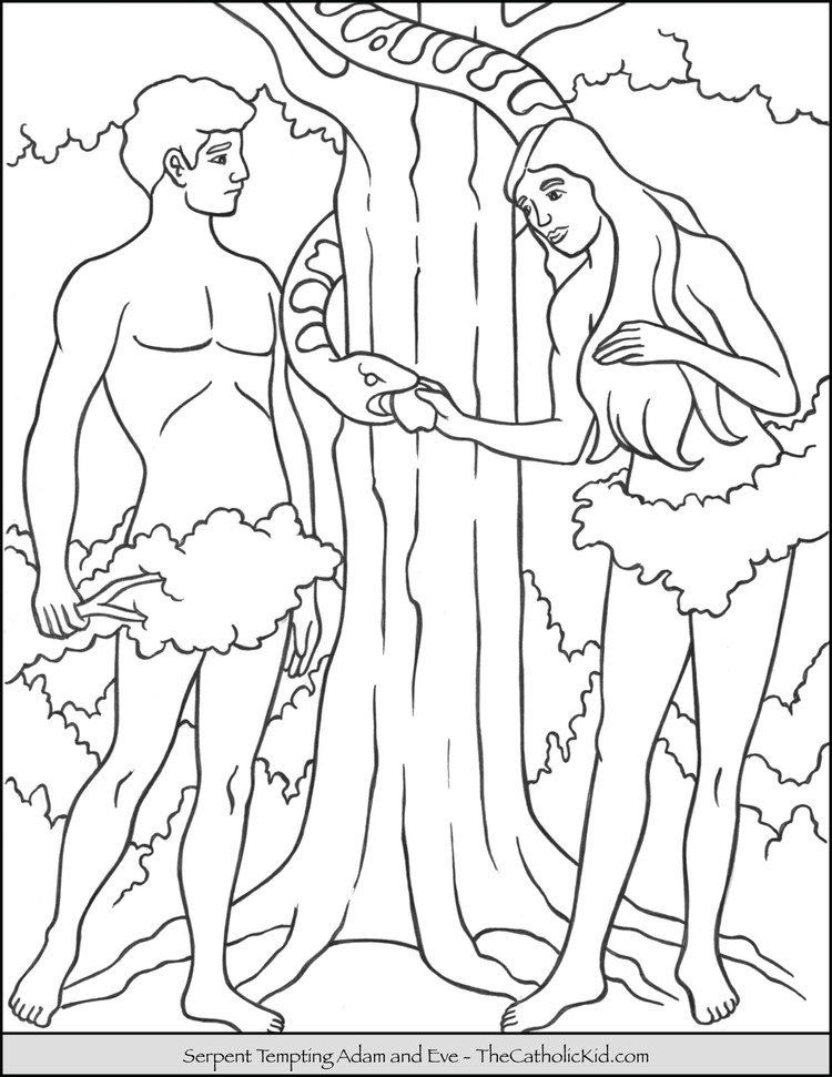 Free Bible Coloring Pages Adam And Eve