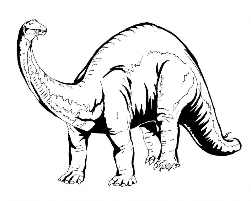 Free Dinosaur Coloring Pages