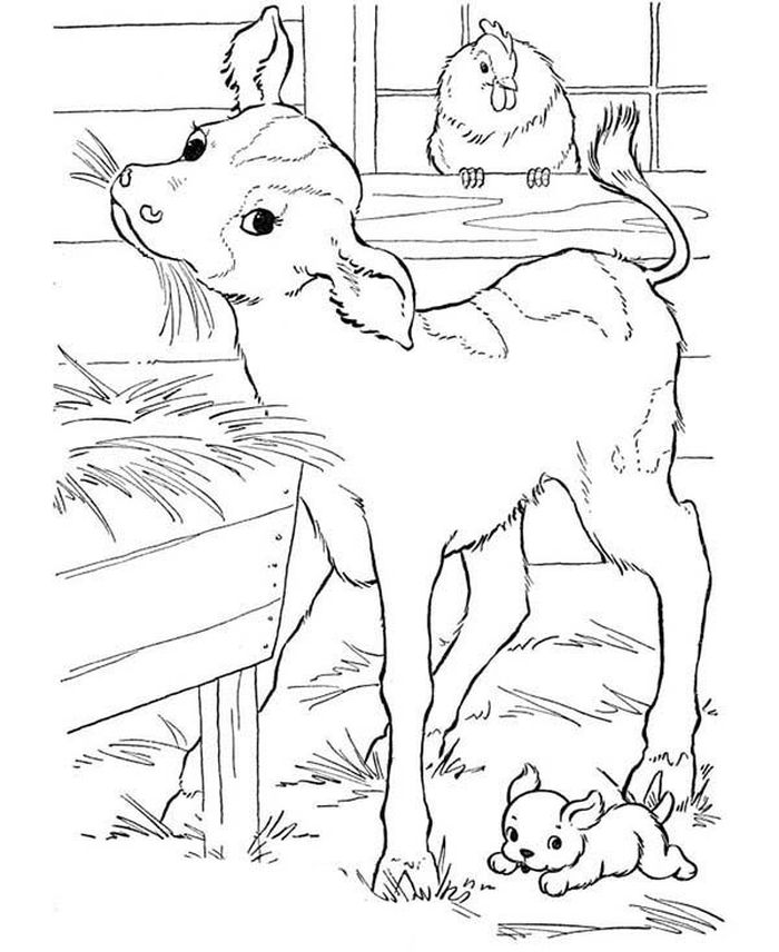 Free Farm Animal Coloring Pages