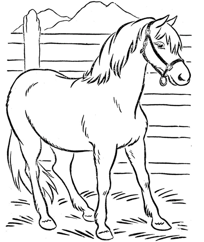 Free Horse Coloring Pages For Kids