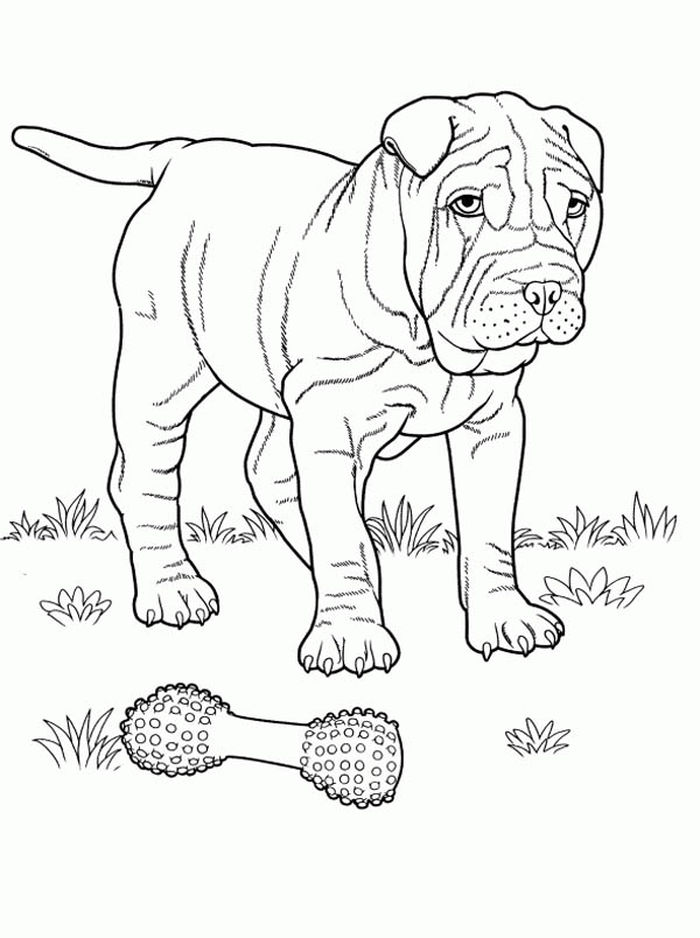 Free I Love My Pitbull Printable Coloring Pages For Adults Advanced