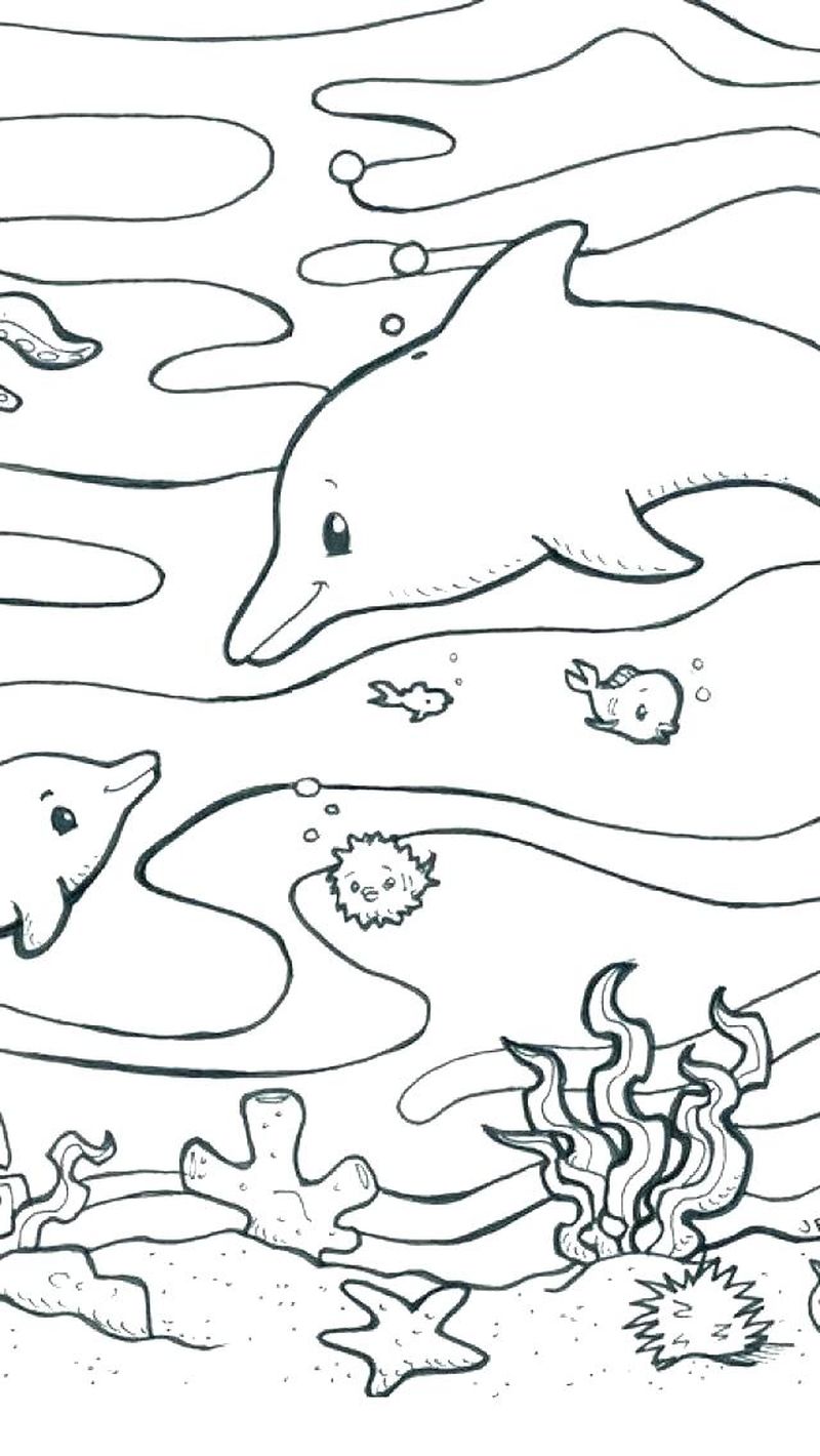 Free Ocean Animal Coloring Pages