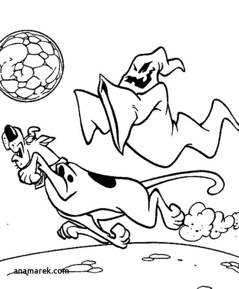 Free Online Scooby Doo Coloring Pages